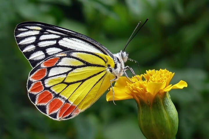 Full Day Wonders of Bali Group Tour with Pickup and Lunch — photo 1 of 7