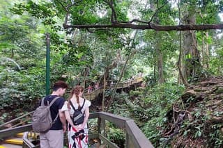 Full-Day Private Tour in Ubud with Rafting in Ayung River
