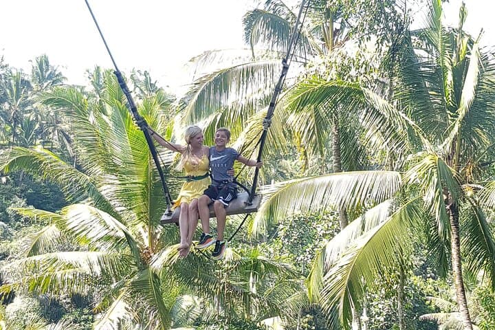 Ubud day trip — photo 1 of 6