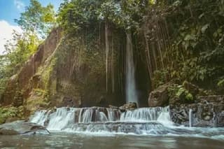Private Tour to Sumampan Waterfall, Monkey forest, Rice terraces and Swing
