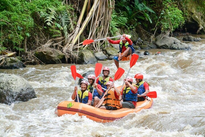 Private Small Group Ubud Rafting in Ayung River — photo 1 of 6