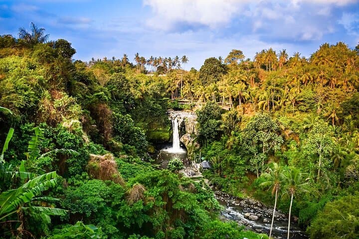 Full-Day Highlights and Best of Ubud Village — photo 1 of 12