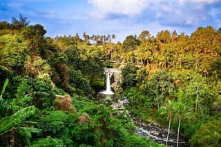 Full-Day Highlights and Best of Ubud Village