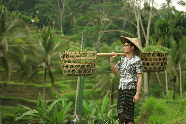 Private Tour : Best of Ubud and Tanah Lot Temple with All inclusive — photo 1 of 9