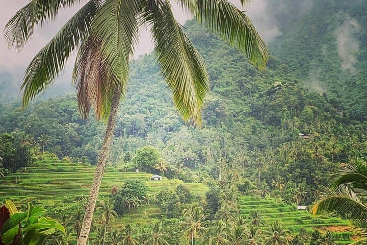 Bali: Customized 2 Days round Trip North Middle Bali — photo 1 of 12