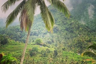 Bali: Customized 2 Days round Trip North Middle Bali