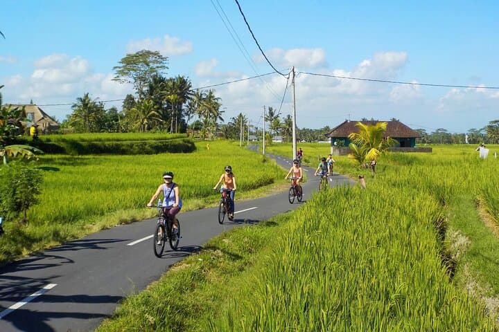 Bali Cycling Ubud all Inclusive — photo 1 of 12