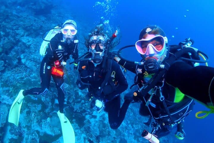 Bali Diving at Tanjung Benoa — photo 1 of 8