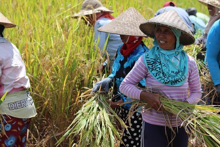 Day with a Balinese Family in a Village — photo 1 of 6