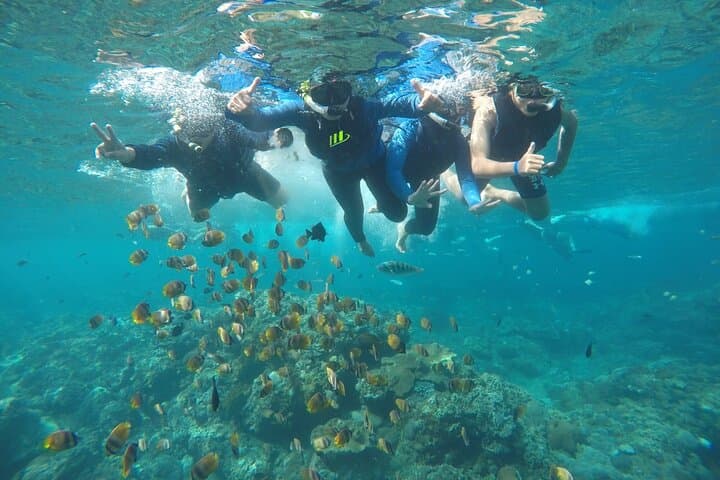 Private Small Group Snorkeling and West Nusa Penida Tour All Inclusive from Bali — photo 1 of 6