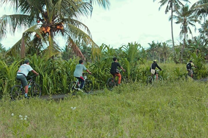 Bali Countryside Eco Cycling Tour include Lunch — photo 1 of 11