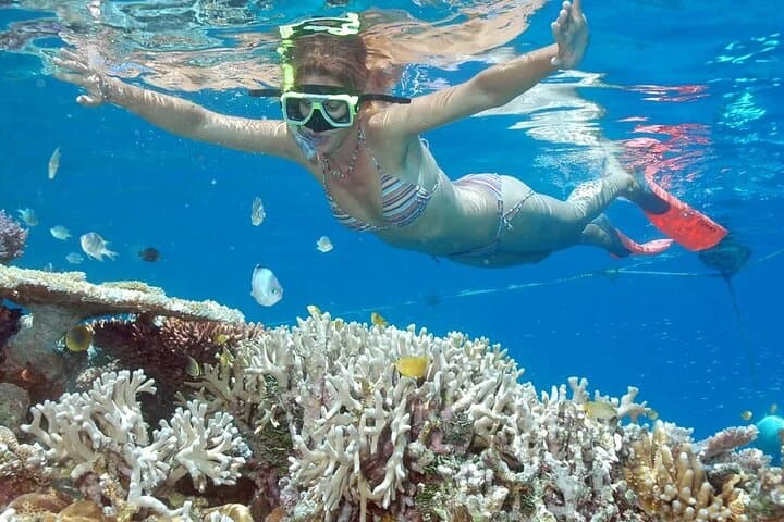 Full-Day Tour in Nusa Penida Island — photo 1 of 9
