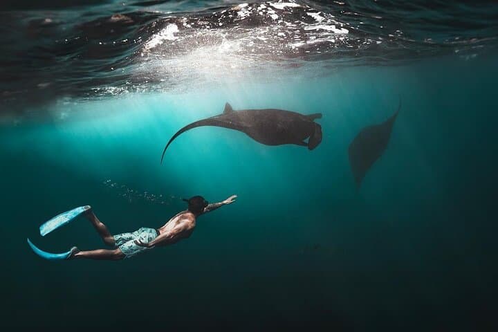 Snorkeling Manta Ray in Nusa Lembongan — photo 1 of 10