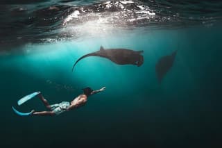 Snorkeling Manta Ray in Nusa Lembongan