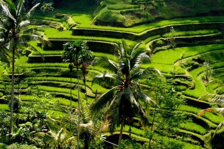 Bali Full-Day Traditional Village Sightseeing Trip All Inclusive — photo 1 of 17