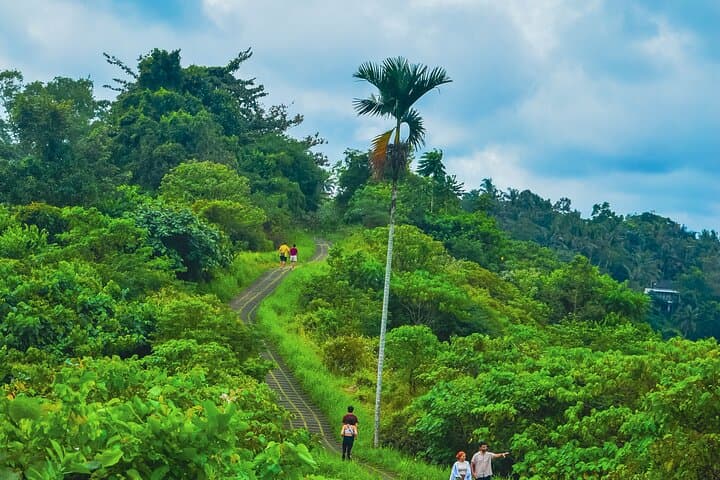Ubud Trekking and Traditional Massage Experience — photo 1 of 12