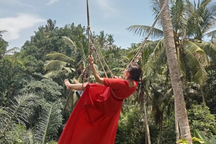 Bali Swing Hot Spring And Waterfall Private Guided Tour — photo 1 of 20