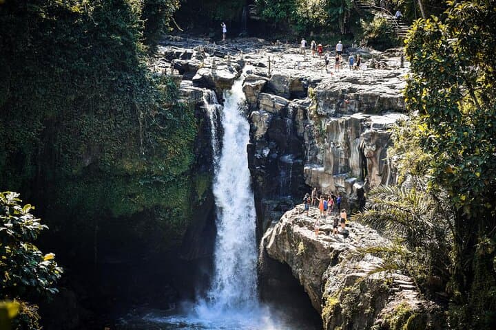 Ubud Waterfalls Private Tours with Hotel Pickup — photo 1 of 5