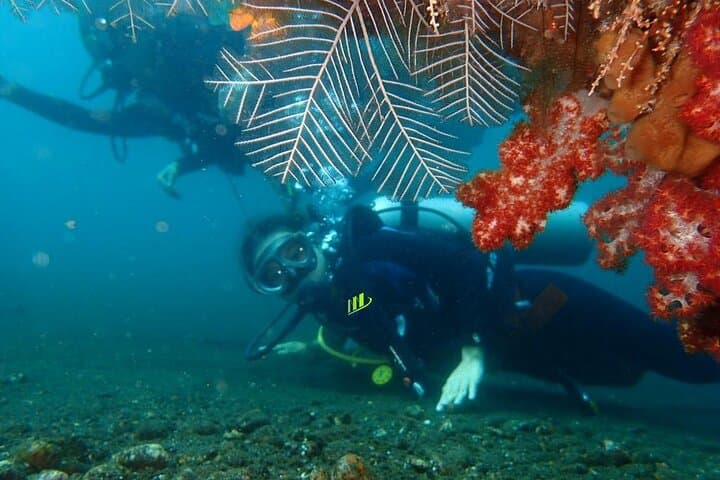 Private 8-Hour Guided Experience Dive in Tulamben — photo 1 of 7