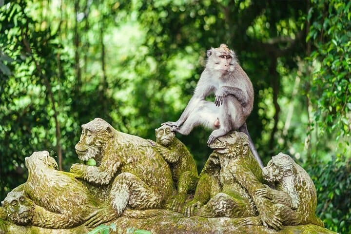 All-Inclusive Ubud Bali Private Full-Day Tour — photo 1 of 10