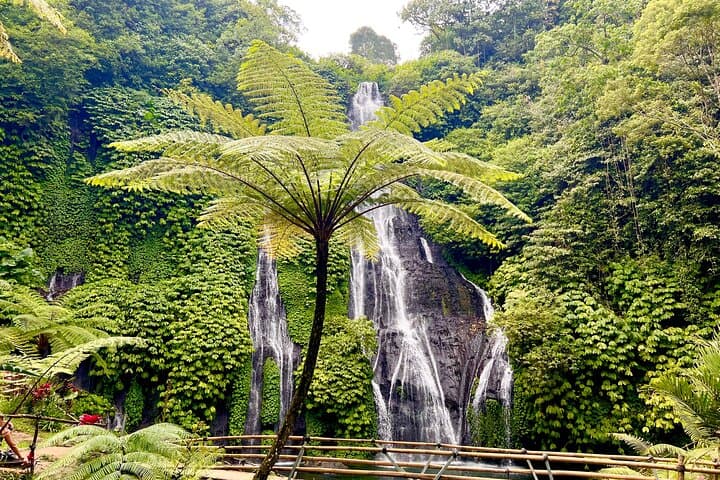 Banyuwana & Banyumala Waterfalls Tour Private - All-Inclusive — photo 1 of 8