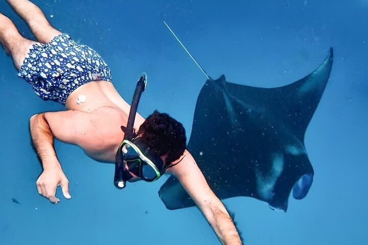 All-inclusive : Highlight Nusa Penida Tour with Snorkeling at Manta Ray — photo 1 of 50