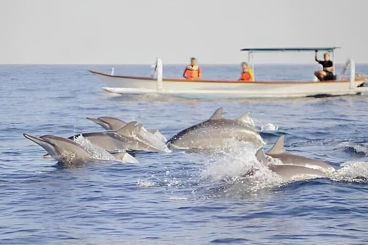 Watching Dolphin Tour at Lovina Beach — photo 1 of 17