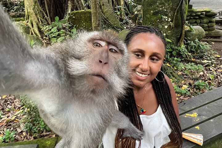 Best of Ubud : Elephant Cave Temple, Monkey forest, Rice Terrace — photo 1 of 14