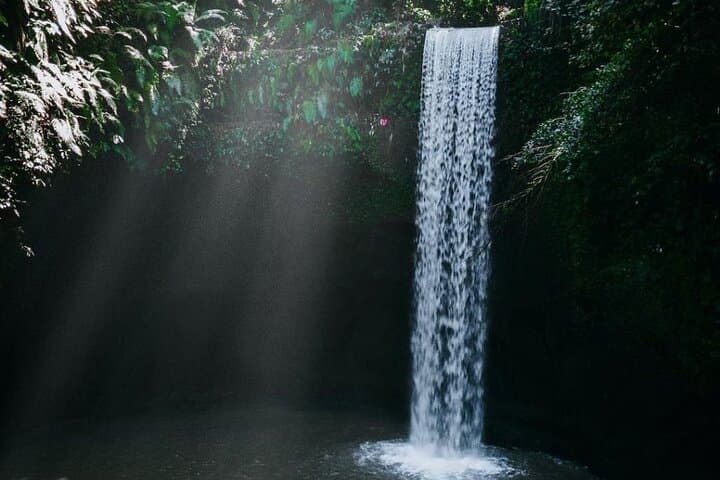 Ubud Hidden Waterfalls and Rice Terrace Tours — photo 1 of 7