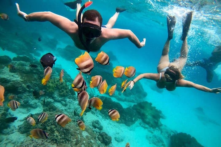 Blue Lagoon Snorkeling and Lunch - Ubud Monkey Forest - Waterfall — photo 1 of 16