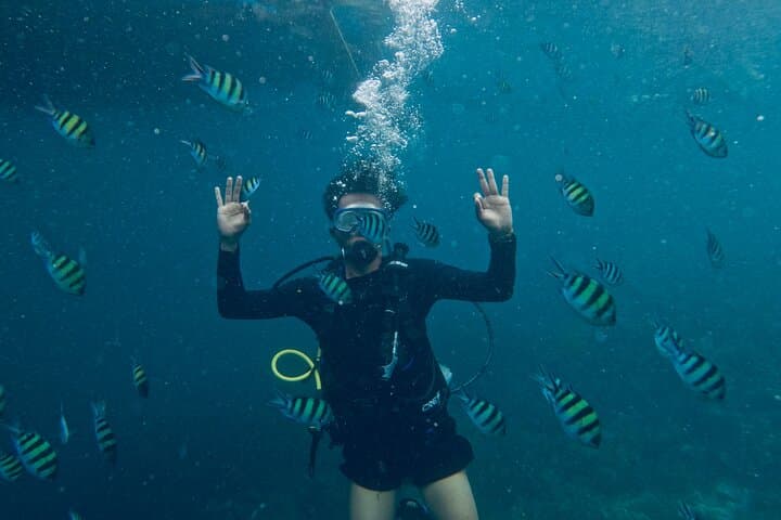 Blou lagoon snorkeling all incllusive — photo 1 of 10