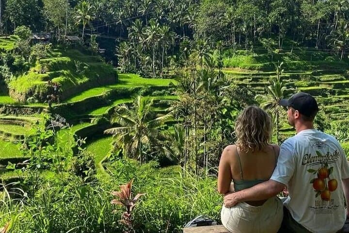 Ubud Highlights Tour: Culture, Nature & Coffee Tasting — photo 1 of 14