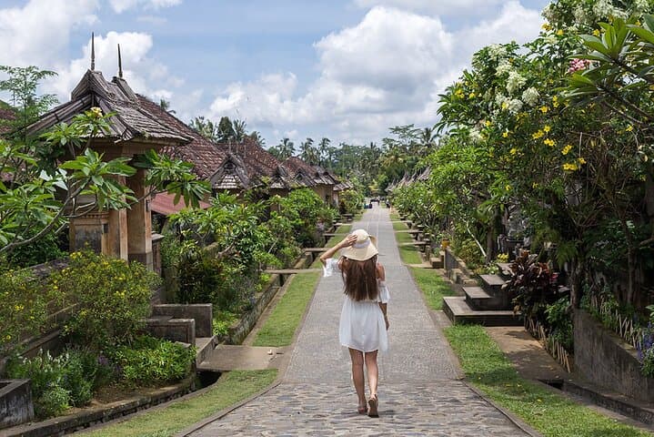 Bali Cultural Heritage Bamboo Forest Tour (Private All Inclusive) — photo 1 of 27