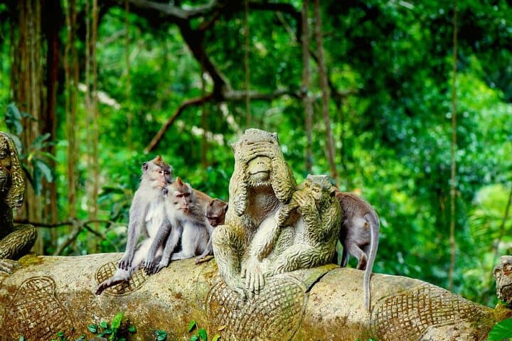 Ultimate Ubud Experience – Art, Nature & Culture in One Day — photo 1 of 19