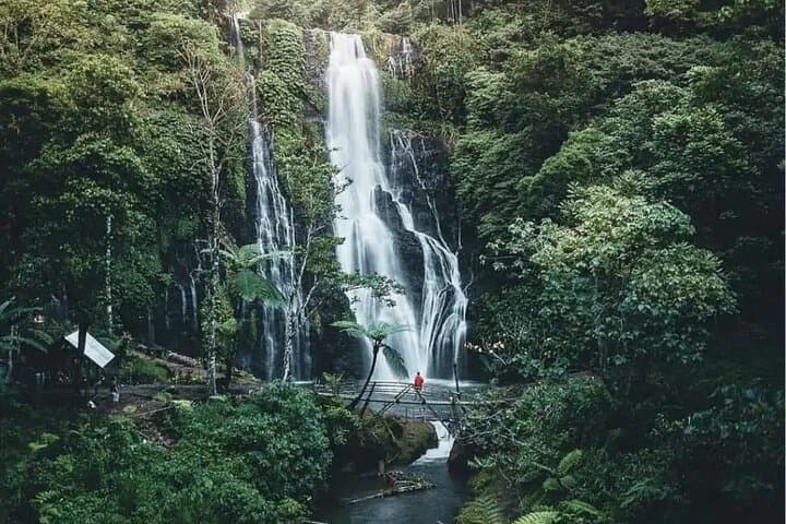 North Bali Scenic Tour with All-Inclusive & Private Guide Tour — photo 1 of 32