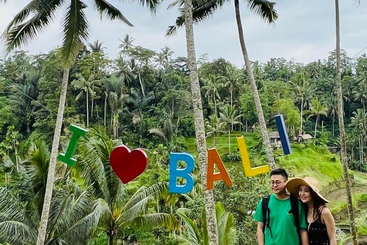 All Inclusive Ubud Tour with Rice Terrace, Waterfall and Temple — photo 1 of 11