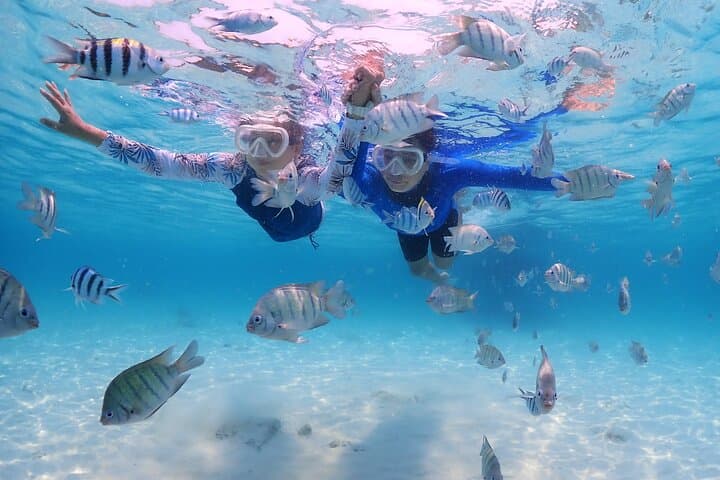 Bali Snorkeling Blue Lagoon with lunch &Optional waterfall Visit — photo 1 of 10