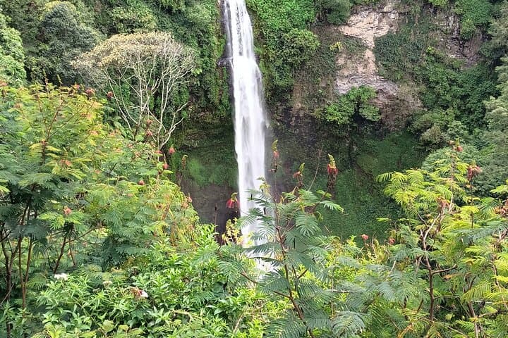Jakarta Bogor Botanical Garden, Waterfall and Rice terrace, Lunch — photo 1 of 51