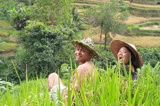 Ubud Highlights: Sacred Monkey Forest, Rice Terraces, Waterfall