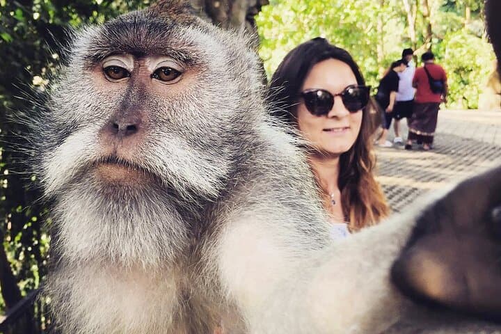 Ubud Private Tour Driver in One Day — photo 1 of 4