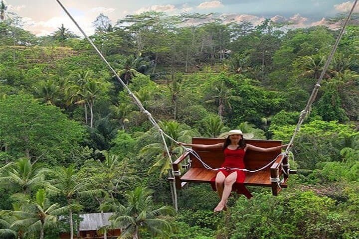Ubud Jungle Swing Bali Tour — photo 1 of 15