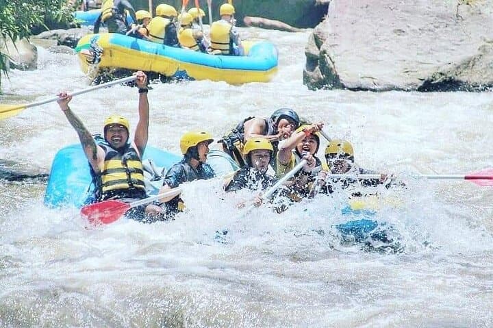 Ubud White Water Rafting Half Day Tour With Lunch — photo 1 of 4