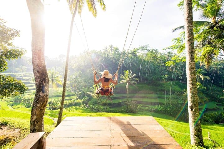 Ubud Full Day Tour Waterfall Monkey Forest Rice Terrace — photo 1 of 16
