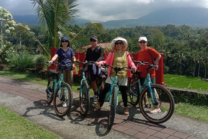 Jatiluwih E-bikes Tour Cycling Group — photo 1 of 20