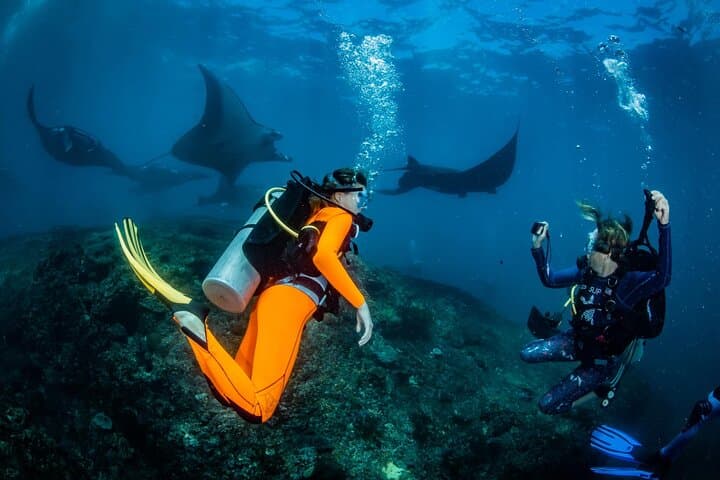 Nusa Penida Diving — photo 1 of 10