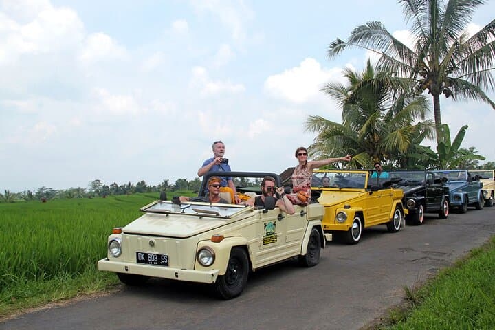 VW Safari Bali Tour: UNESCO World Heritage Sites in Bali — photo 1 of 10