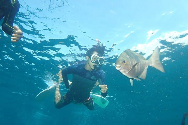 Tulamben Safari Snorkeling Adventure at Coral Garden Private Experience — photo 1 of 6