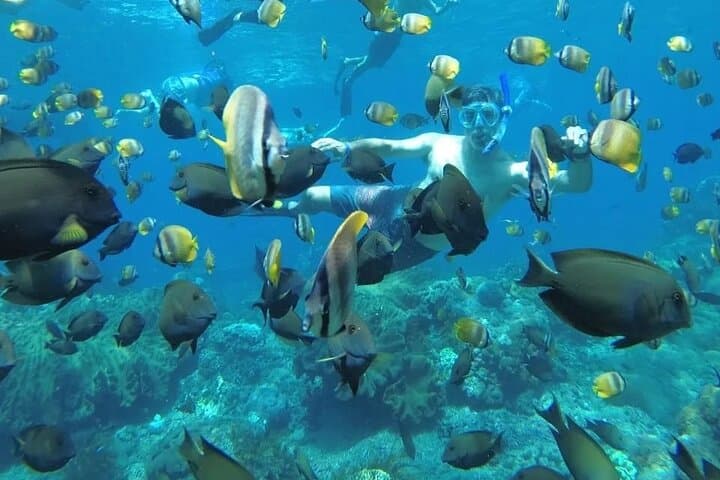 Manta Bay Snorkeling Adventure with Kelingking Beach Nusa Penida All Inclusive — photo 1 of 7