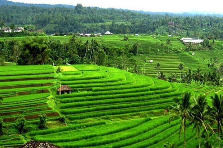 Full-Day Private Tabanan Tour in Bali — photo 1 of 19