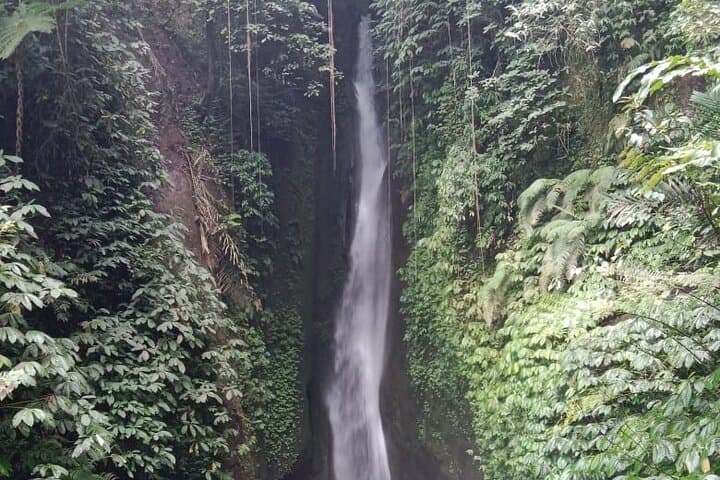 Private Tour from Leke-Leke Waterfall to Jatiluwih Rice Terrace — photo 1 of 11